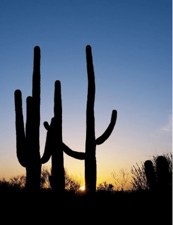 Jose David Trujillo Obituary